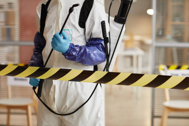 Professional Sewage Cleanup technician working in Grafton, NH